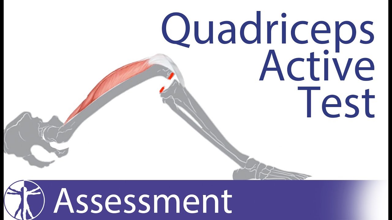 Posterior Cruciate Ligament Tear Courses Free